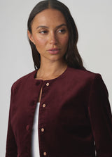THE VELVETEEN LADY LIKE JACKET