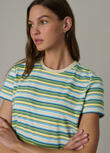 CITRUS MULTI STRIPE
