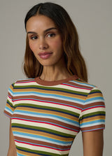 MULTI VARIEGATED STRIPE