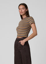 CAMEL MULTI STRIPE